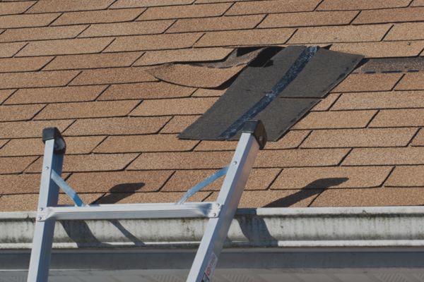 DAMAGED ROOFS